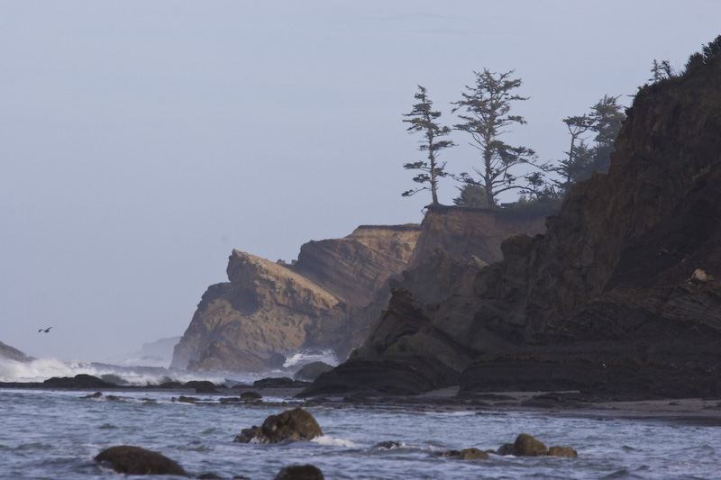 Sea Cliffs